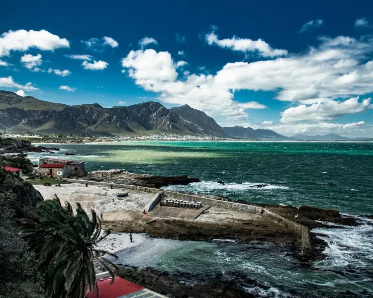 Hermanus